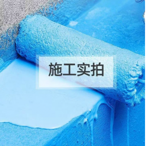 雨虹防水200柔韧双组防水涂料卫生间厨房专用房屋顶补漏材料灰浆 雨虹200灰色9kg 柔韧型